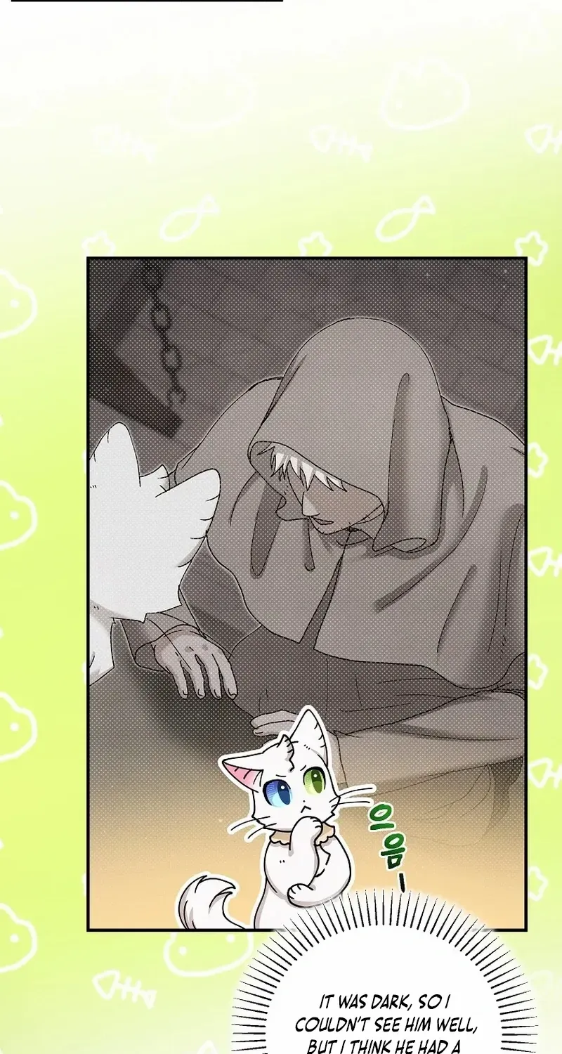 I Became the Emperor’s Cat Chapter 39 page 48 - 