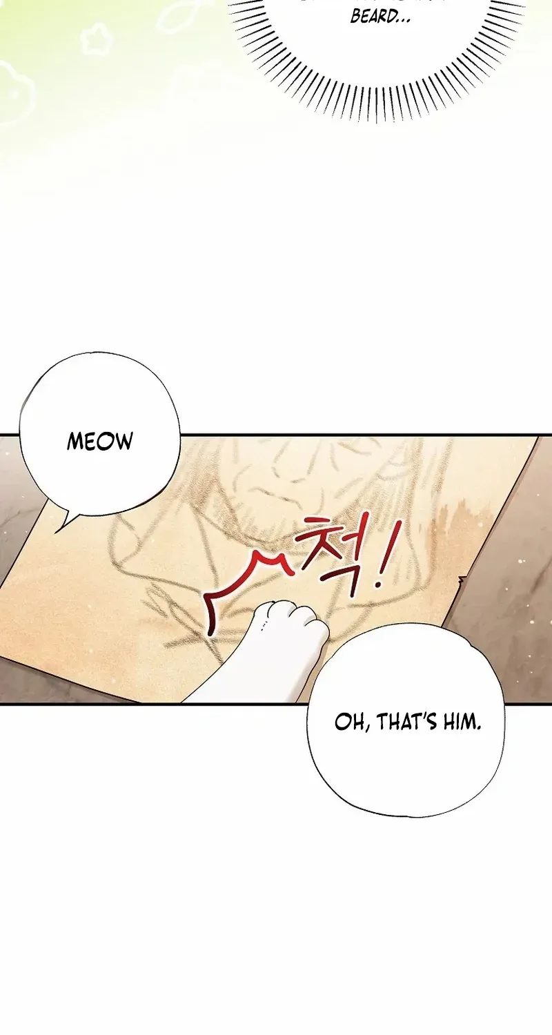 I Became the Emperor’s Cat Chapter 39 page 49 - 