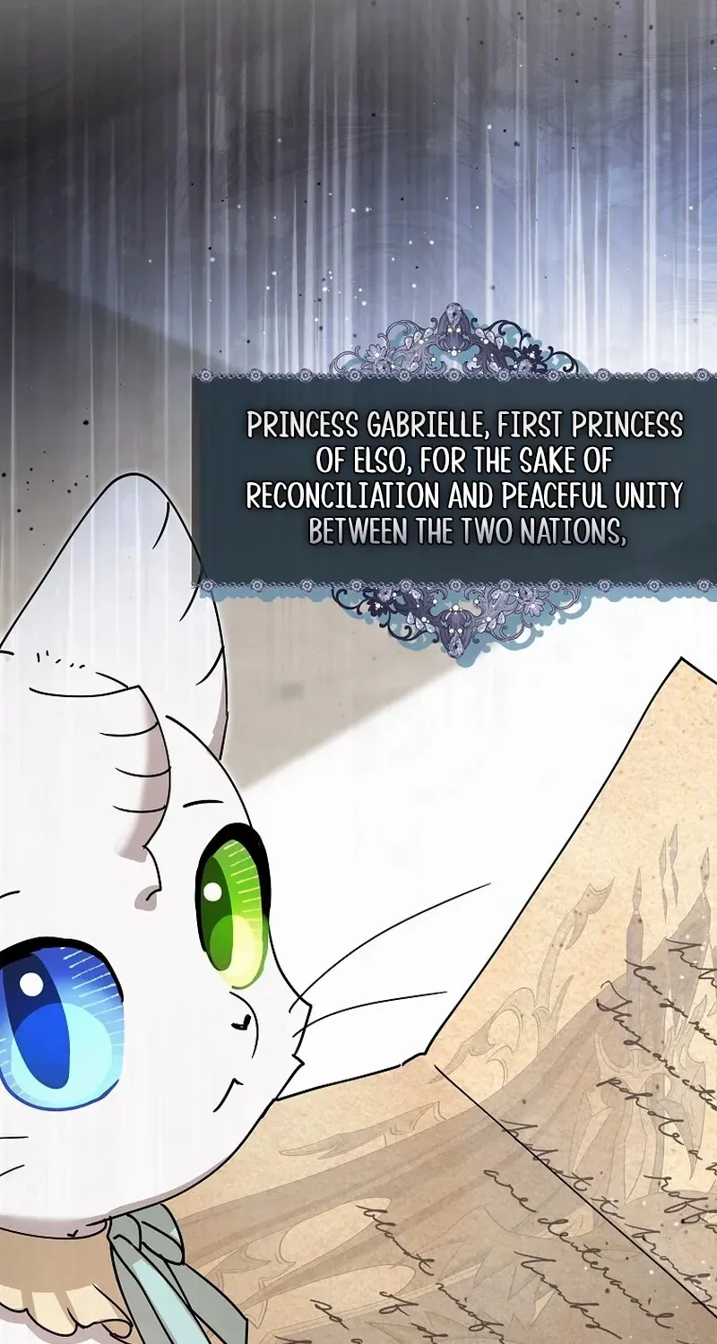 I Became the Emperor’s Cat Chapter 39 page 62 - 