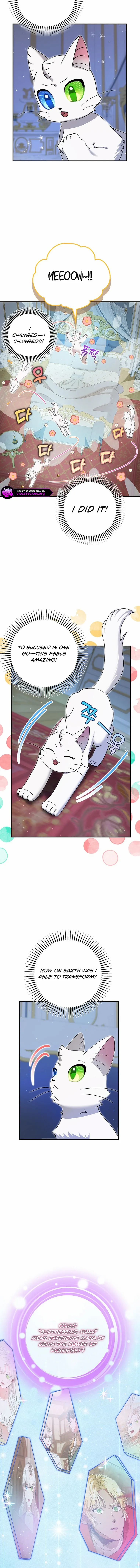 I Became the Emperor’s Cat Chapter 72 page 11 - 