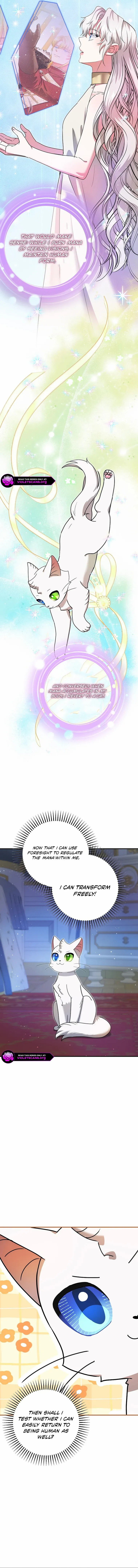 I Became the Emperor’s Cat Chapter 72 page 12 - 