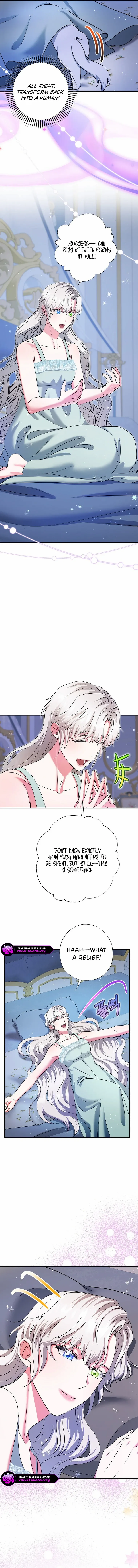 I Became the Emperor’s Cat Chapter 72 page 13 - 