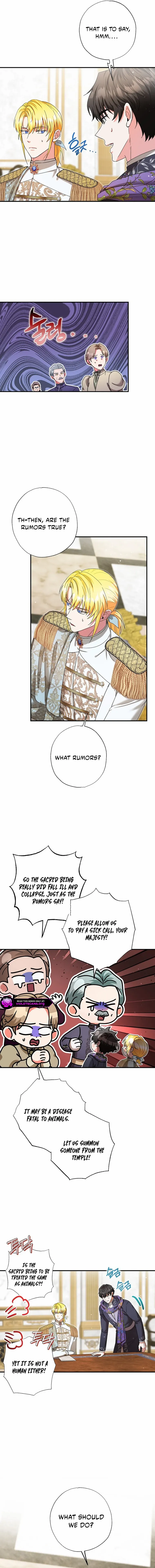 I Became the Emperor’s Cat Chapter 72 page 4 - 