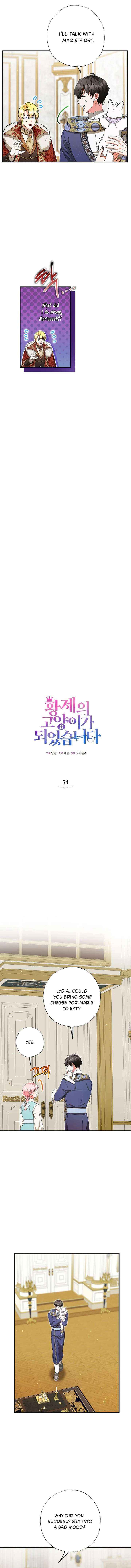 I Became the Emperor’s Cat Chapter 74 page 5 - 