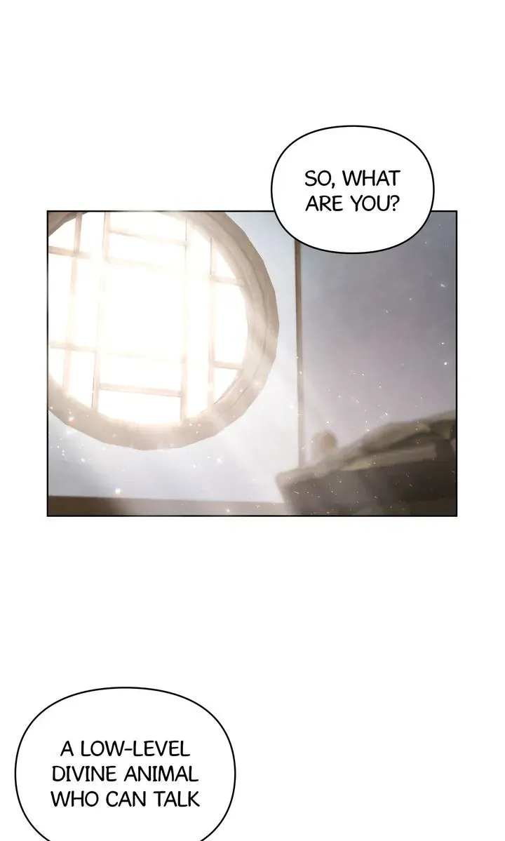 I Became the Tiger’s Daughter Chapter 36 page 17 - 