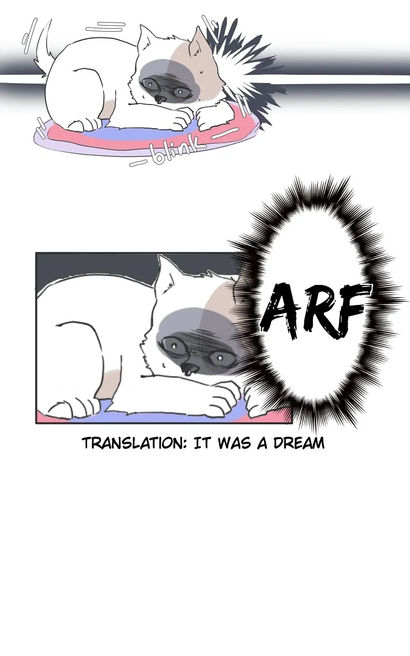 I Hate That I Love You Chapter 10 page 38 - 