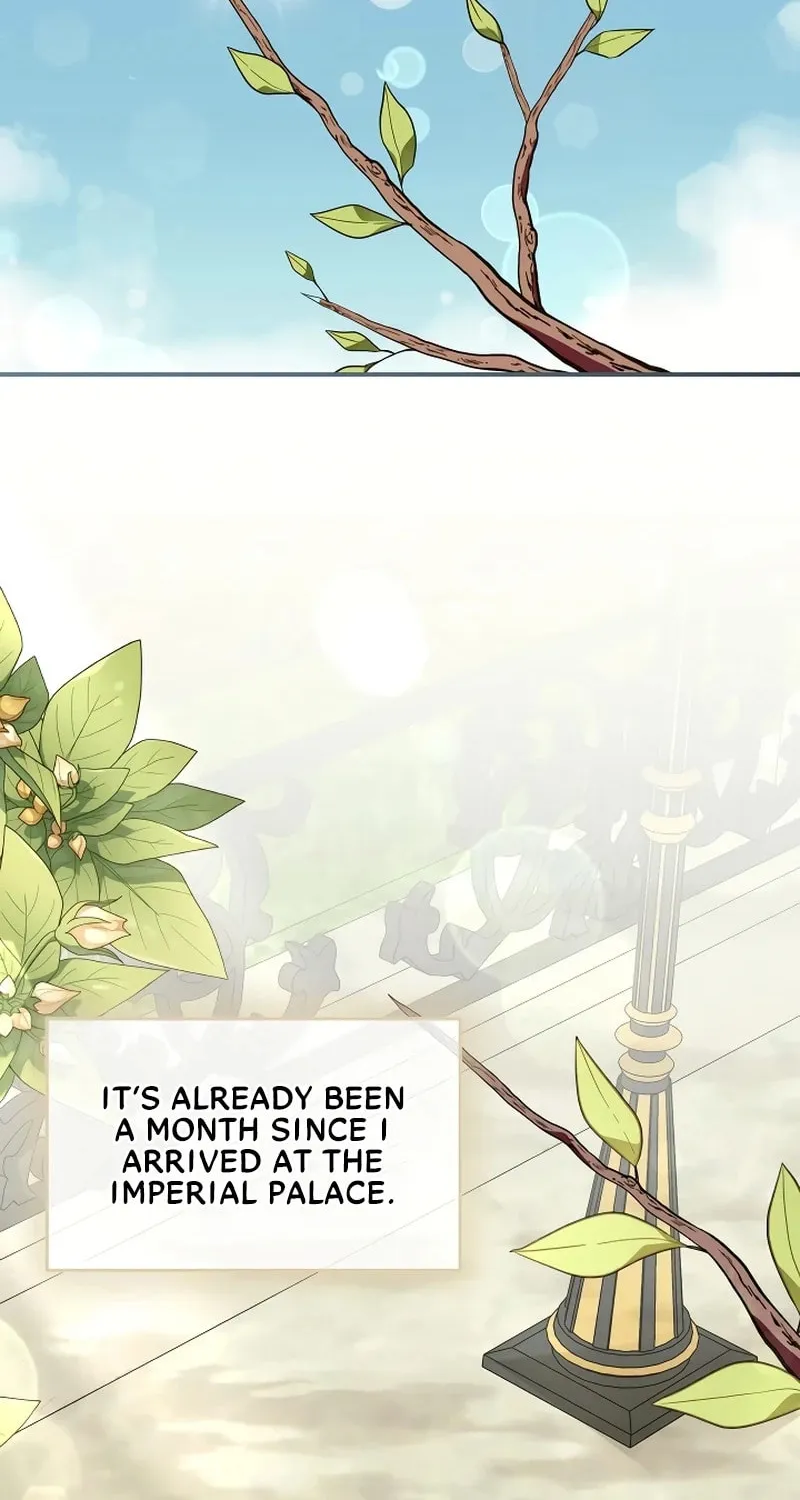 I Helped the Imprisoned Male Lead and He Became an Obsessive Man Chapter 13 page 27 - 