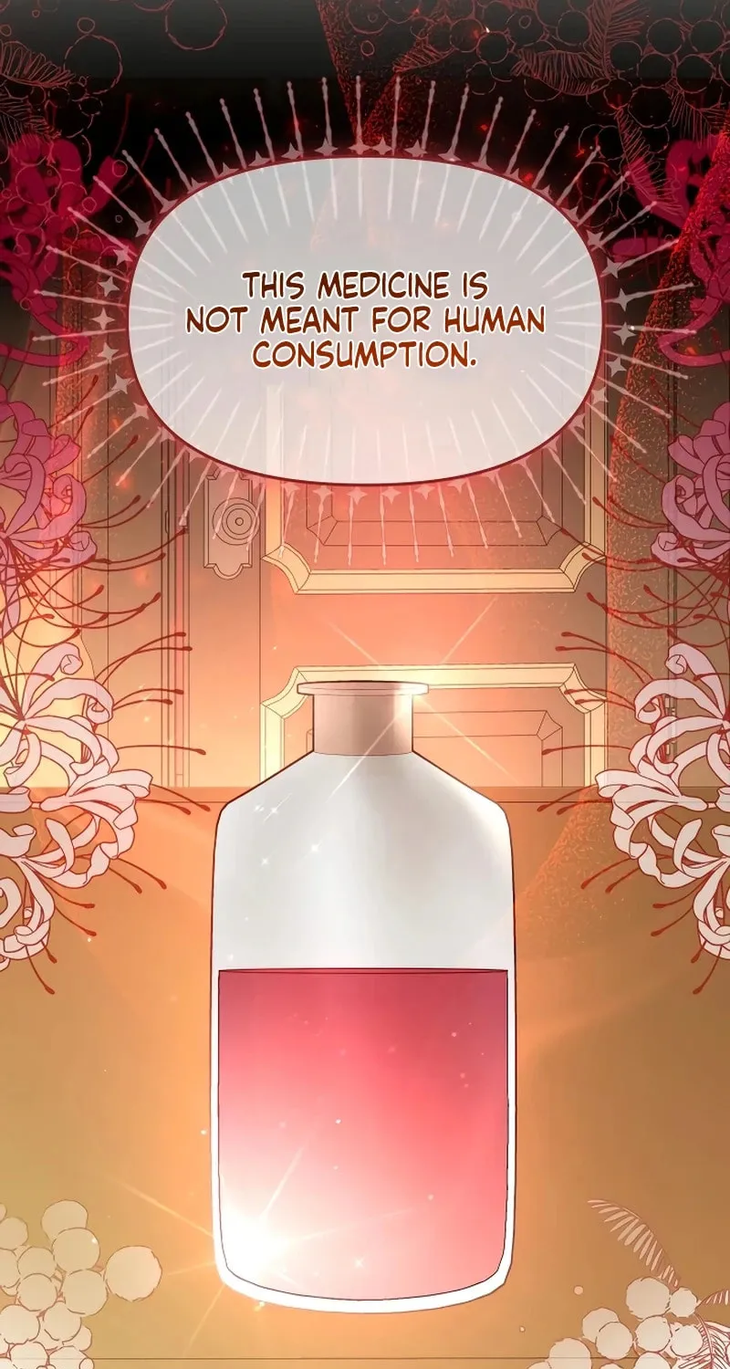 I Helped the Imprisoned Male Lead and He Became an Obsessive Man Chapter 14 page 10 - 