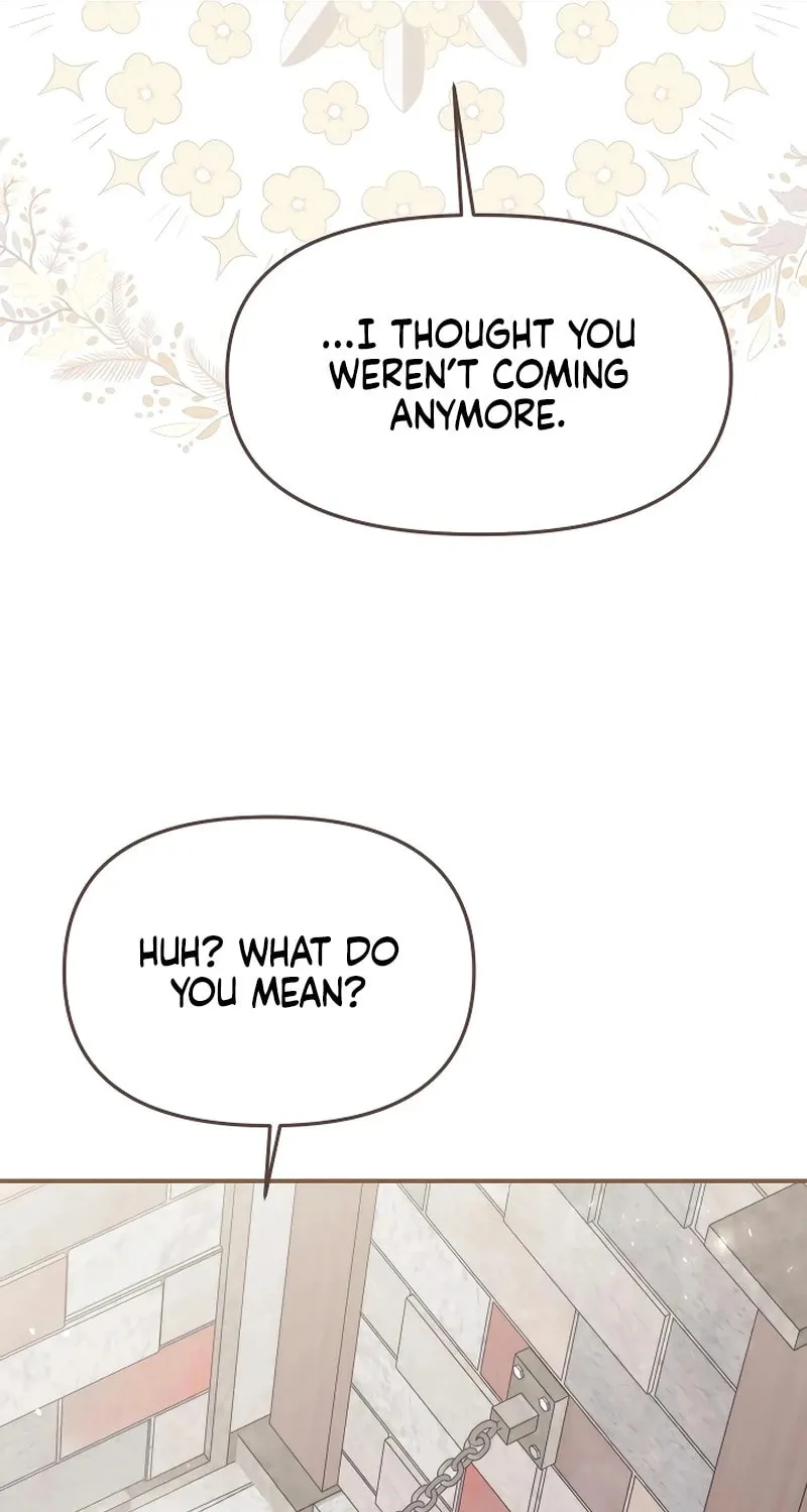 I Helped the Imprisoned Male Lead and He Became an Obsessive Man Chapter 5 page 46 - 