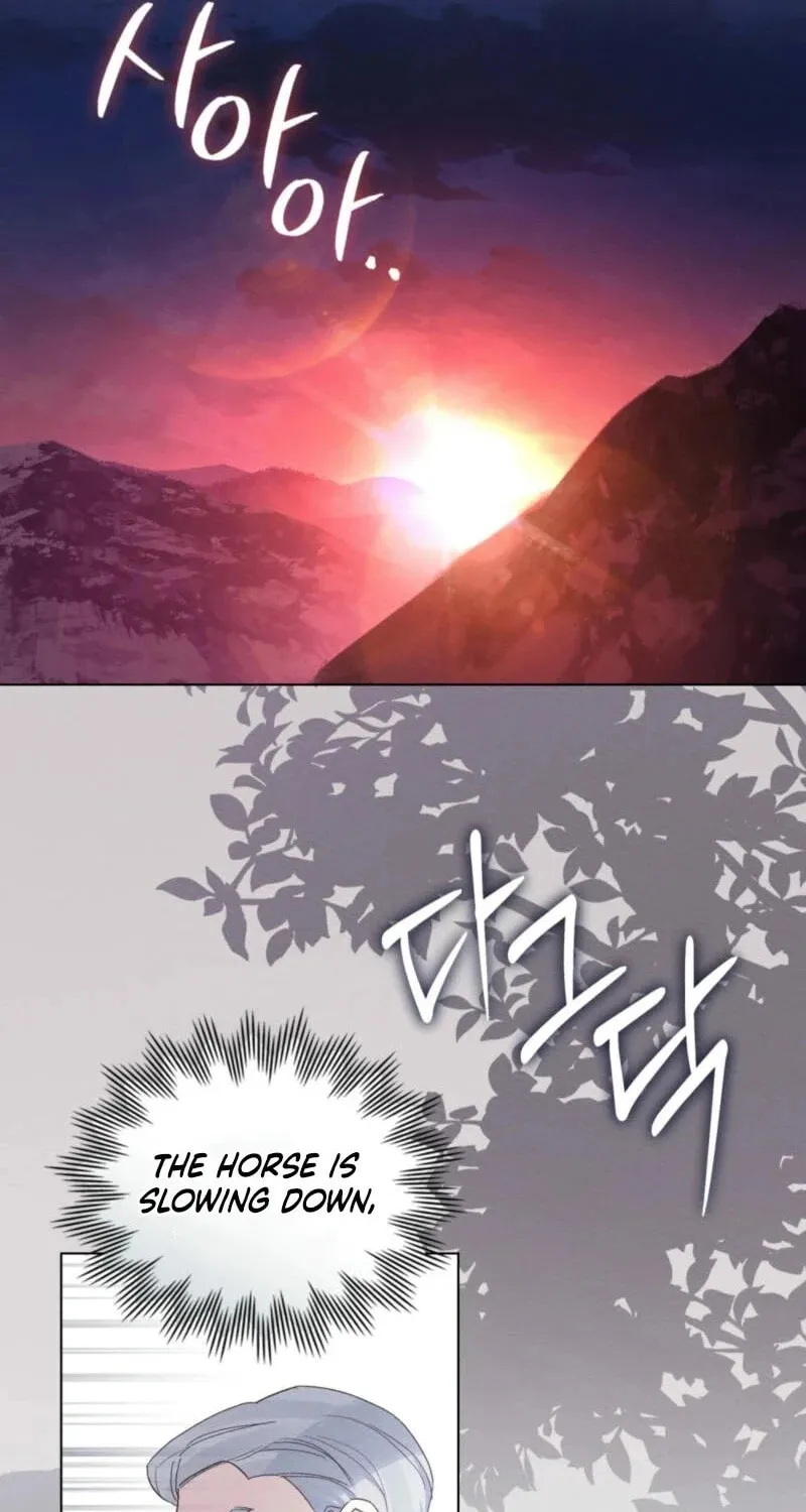 I'm Being Chased By My Husband Chapter 11 page 13 - 