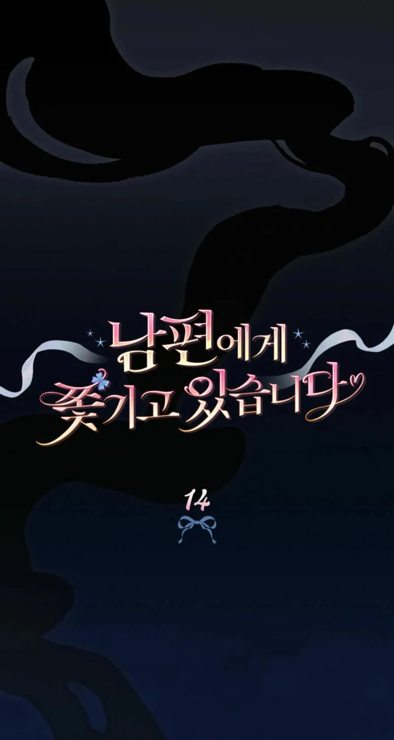 I'm Being Chased By My Husband Chapter 14 page 17 - 