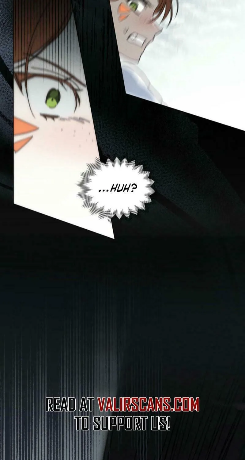 I'm Being Chased By My Husband Chapter 27 page 27 - 