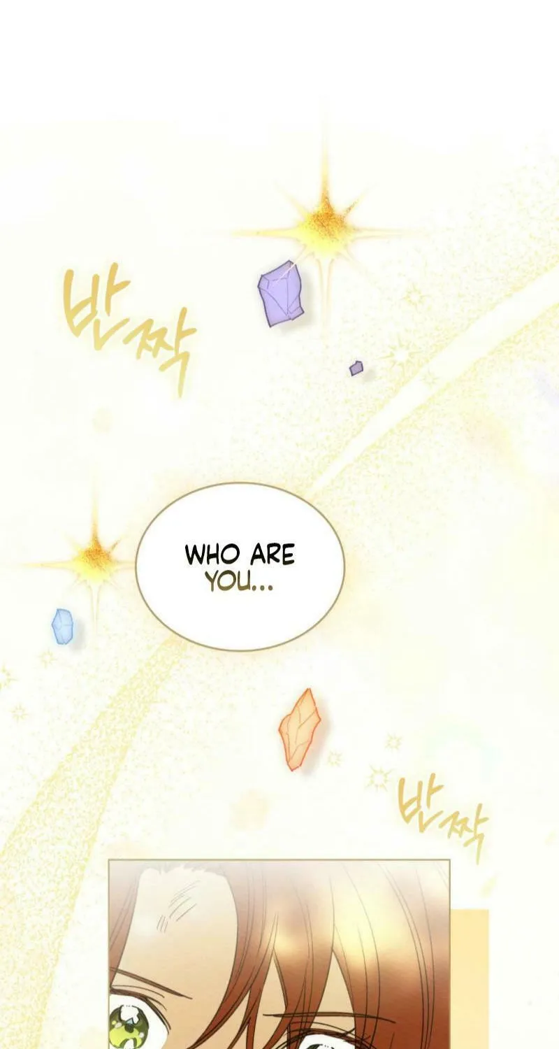 I'm Being Chased By My Husband Chapter 27 page 48 - 