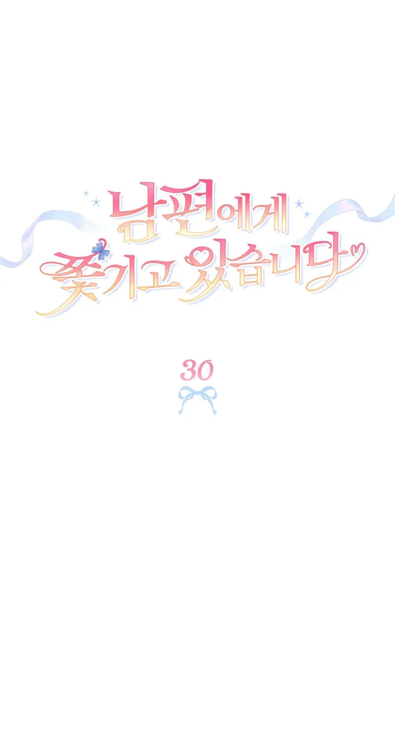 I'm Being Chased By My Husband Chapter 30 page 31 - 