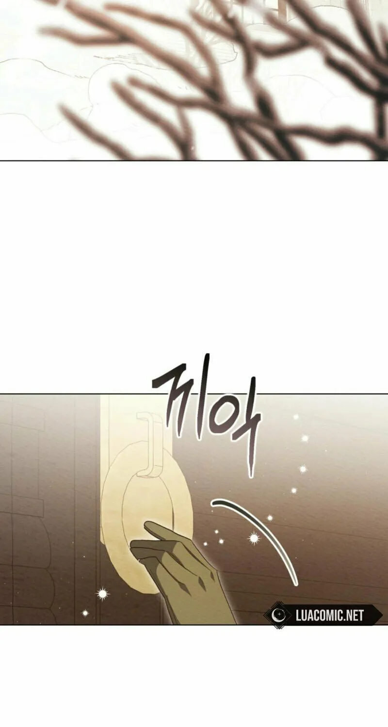 I'm Being Chased By My Husband Chapter 4 page 50 - 