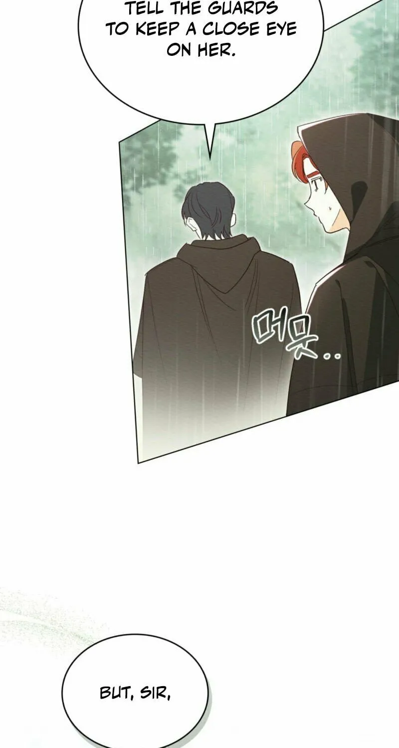 I'm Being Chased By My Husband Chapter 5 page 17 - 