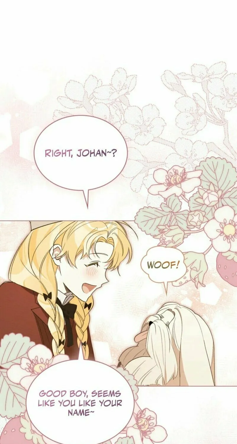 I'm Being Chased By My Husband Chapter 8 page 62 - 