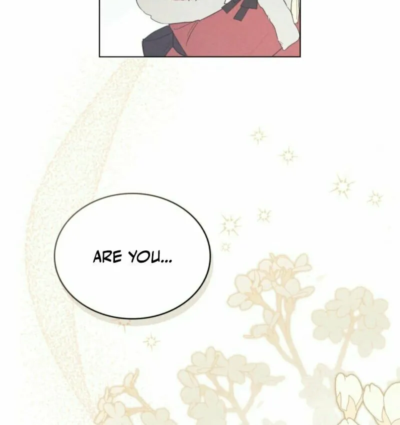 I'm Being Chased By My Husband Chapter 8 page 66 - 