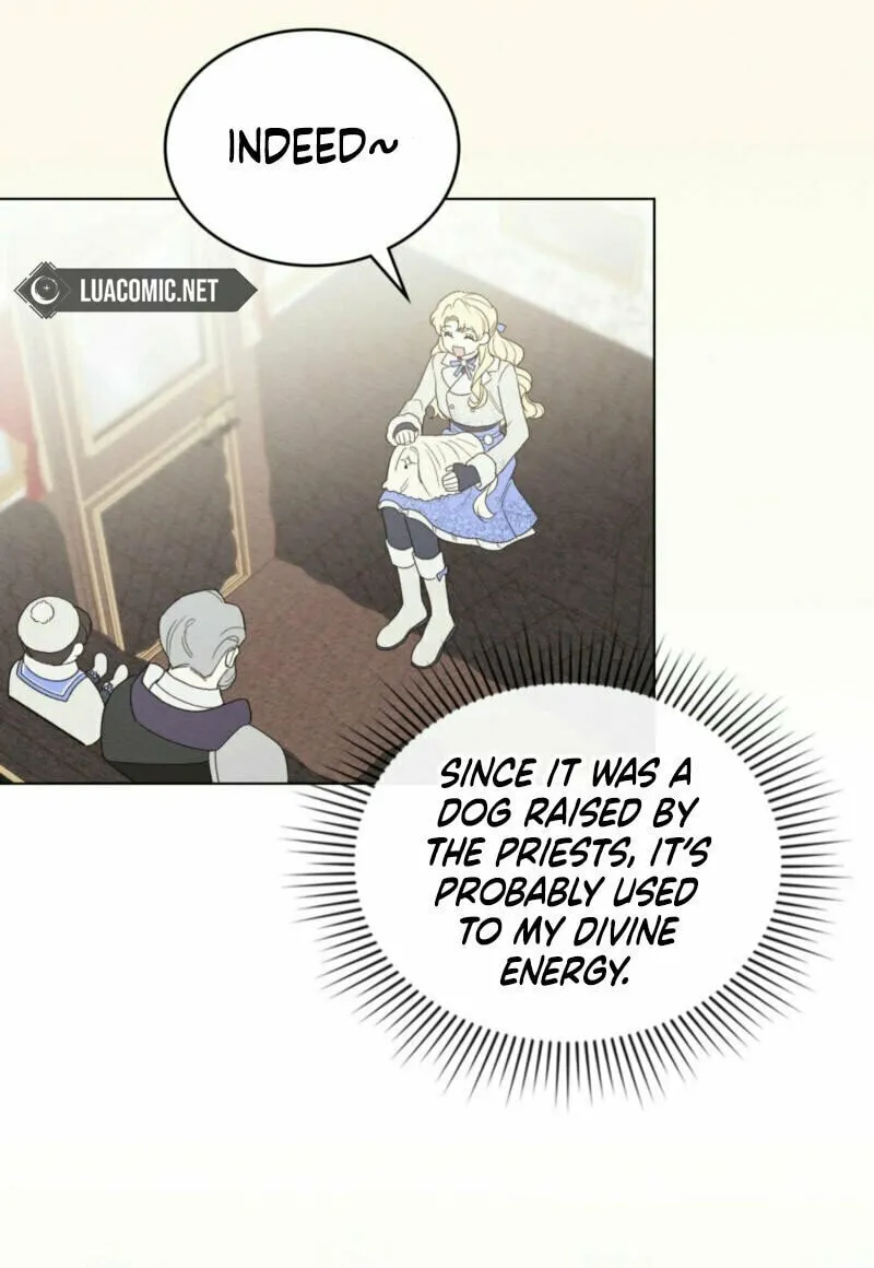 I'm Being Chased By My Husband Chapter 9 page 24 - 