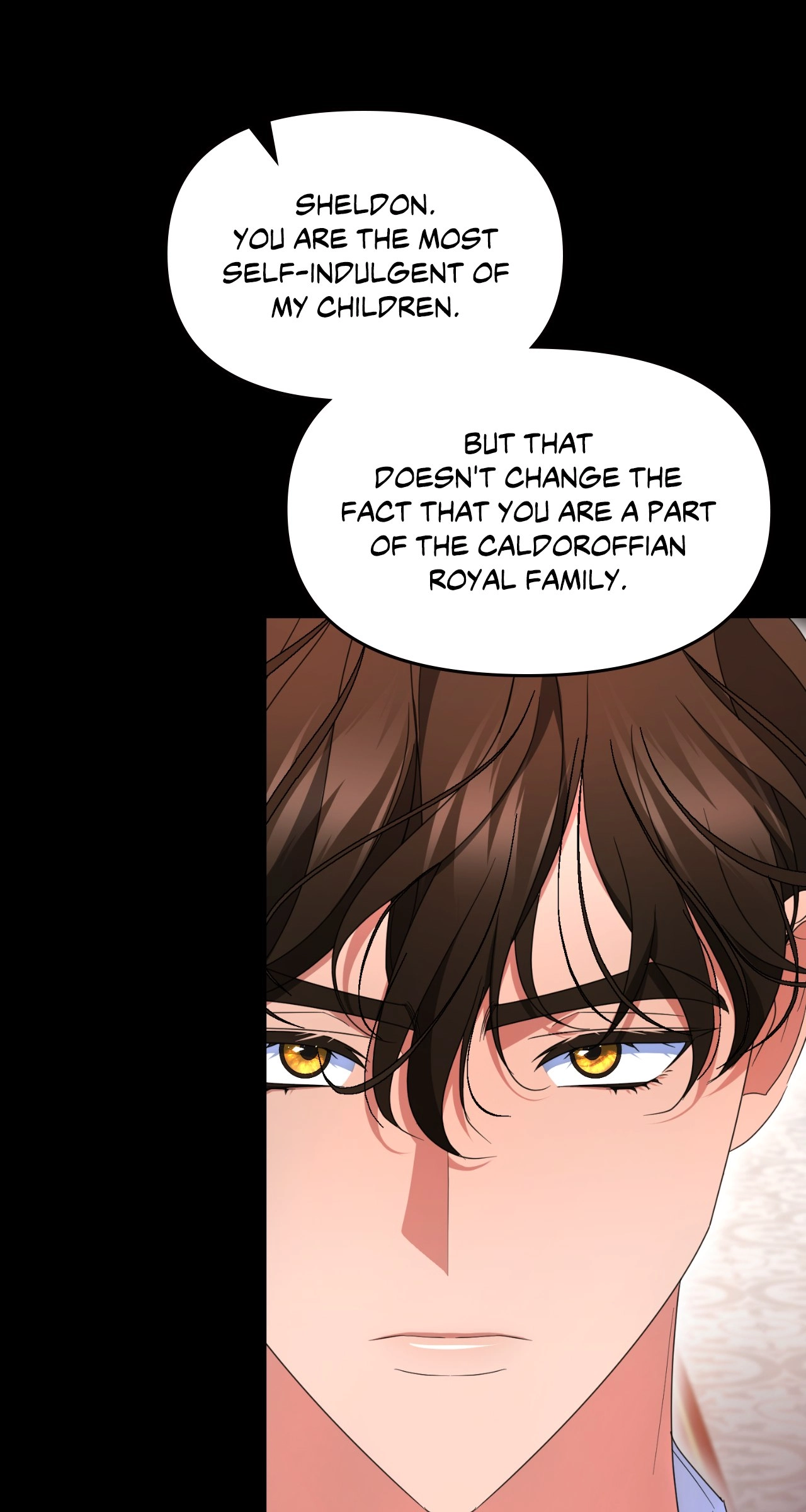 I'm Nobody's Shadow Chapter 30 page 63 - 