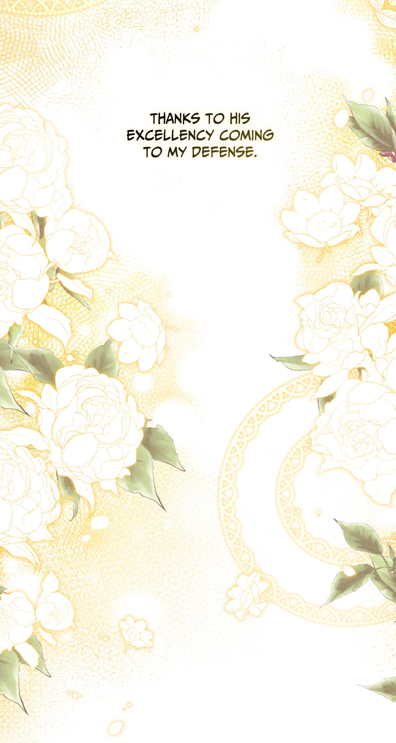 I'm Nobody's Shadow Chapter 41 page 67 - 