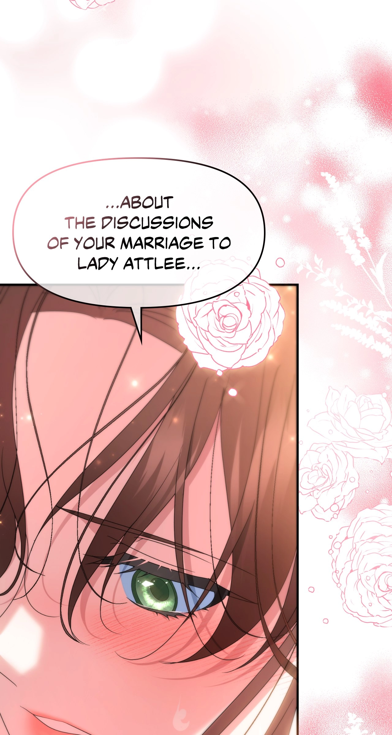 I'm Nobody's Shadow Chapter 47 page 95 - 
