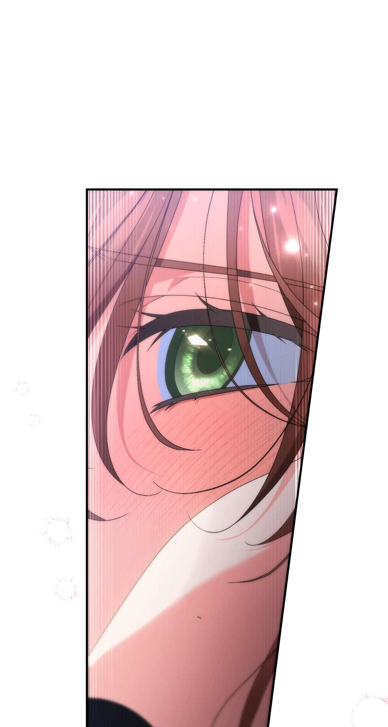 I'm Nobody's Shadow Chapter 48 page 66 - 