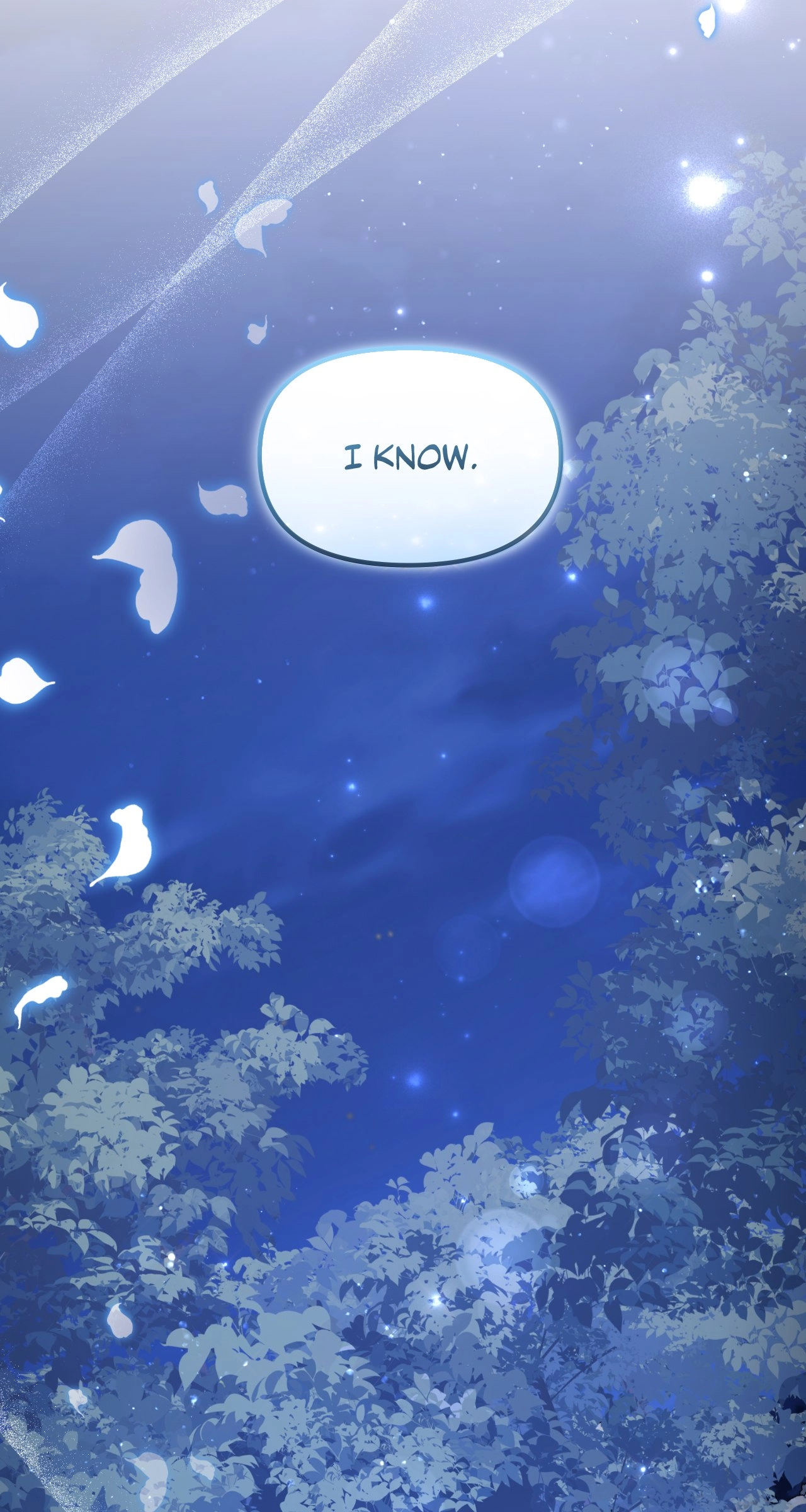 I'm Nobody's Shadow Chapter 48 page 97 - 