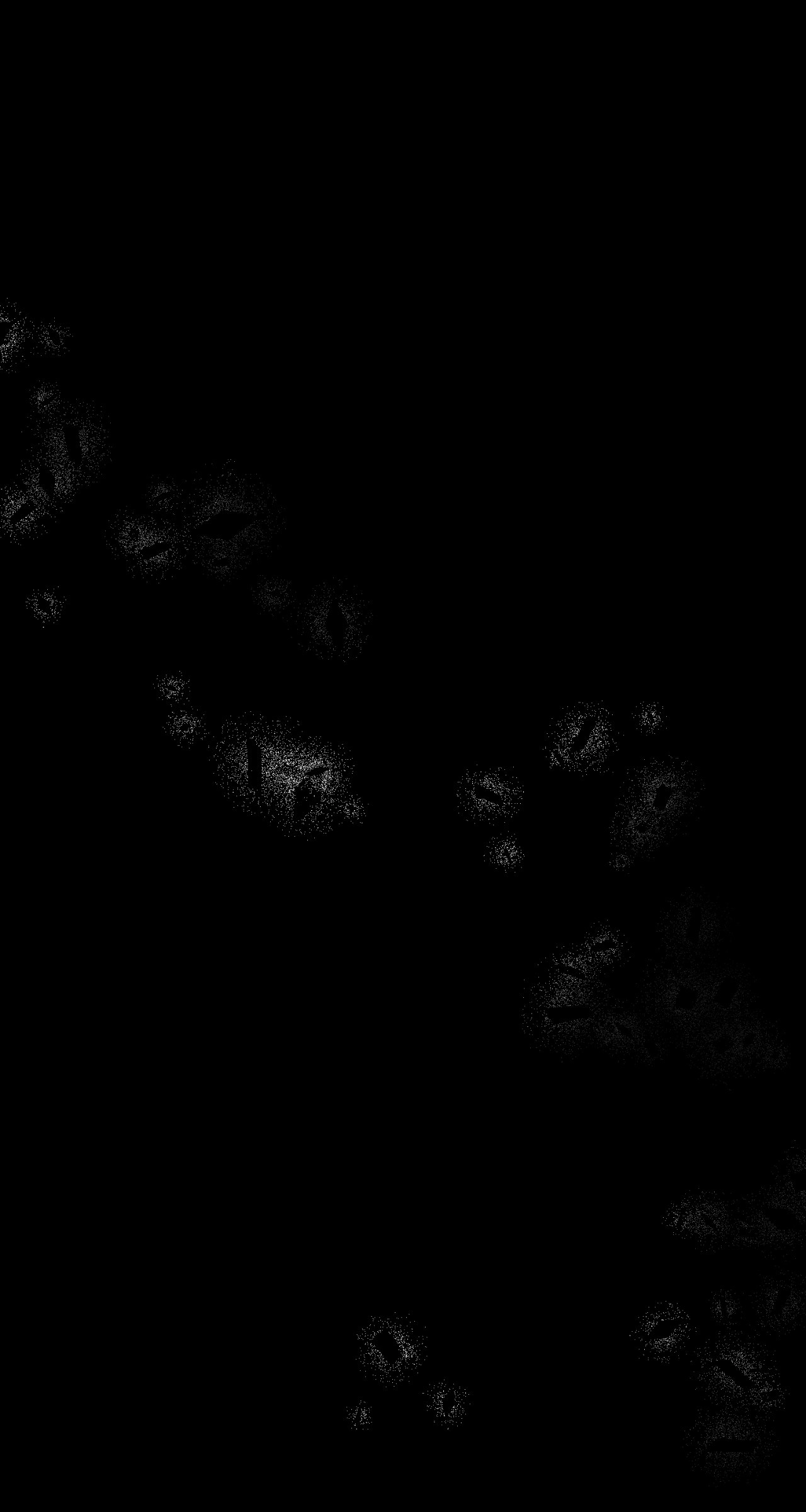 I'm Nobody's Shadow Chapter 61 page 12 - 