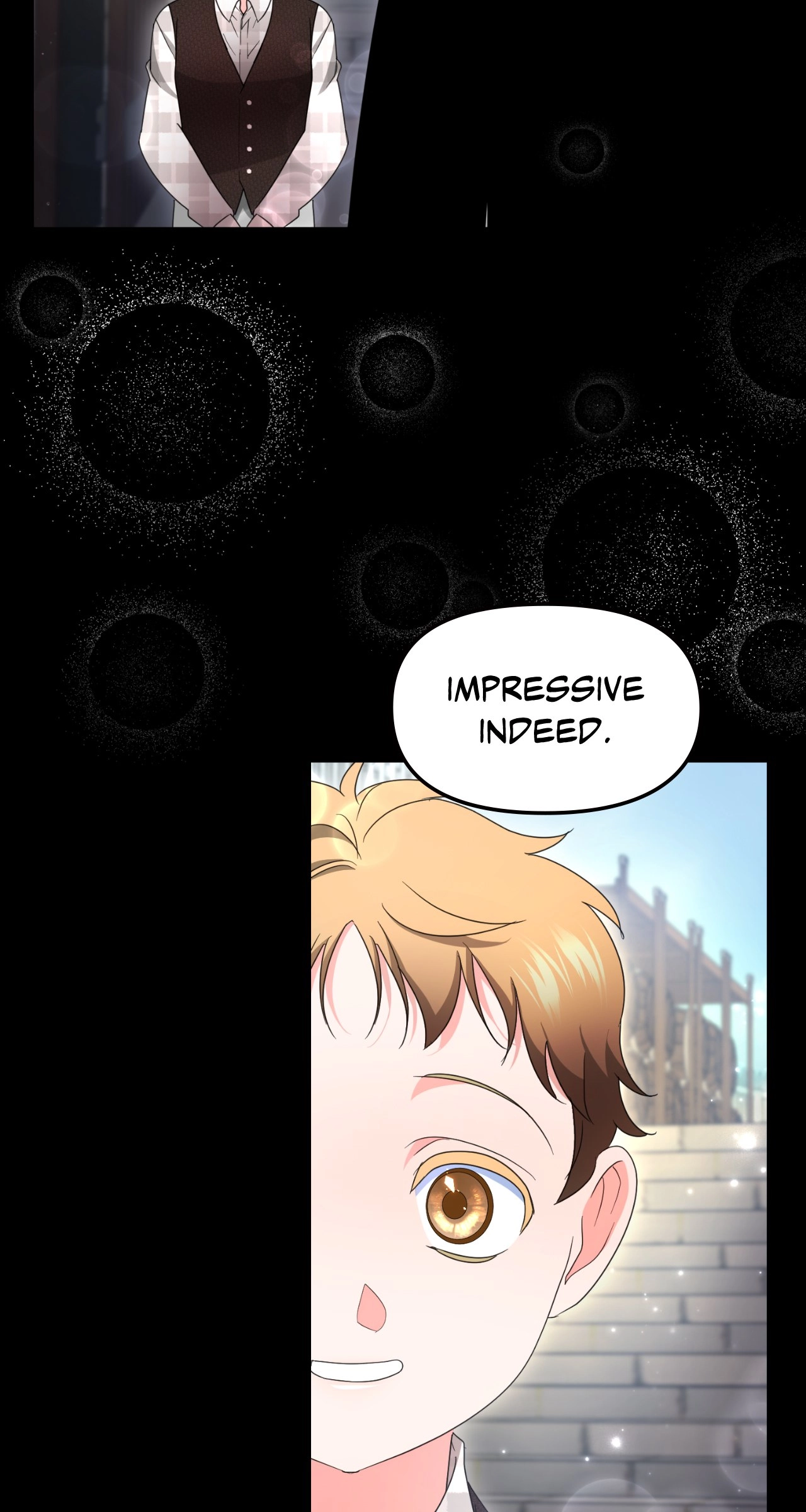 I'm Nobody's Shadow Chapter 61 page 17 - 