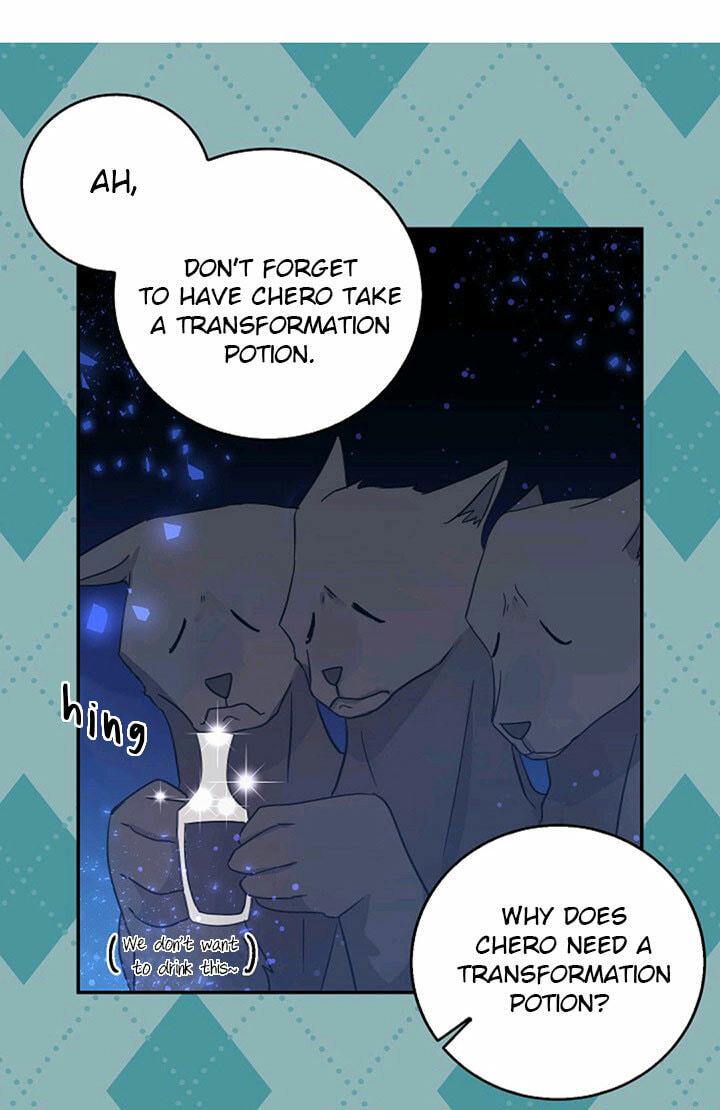 I'm the Soldier's Ex-Girlfriend Chapter 25 page 11 - 