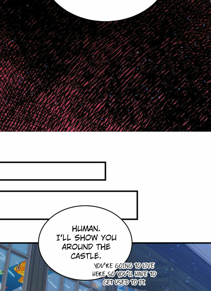 I'm the Soldier's Ex-Girlfriend Chapter 42 page 25 - 