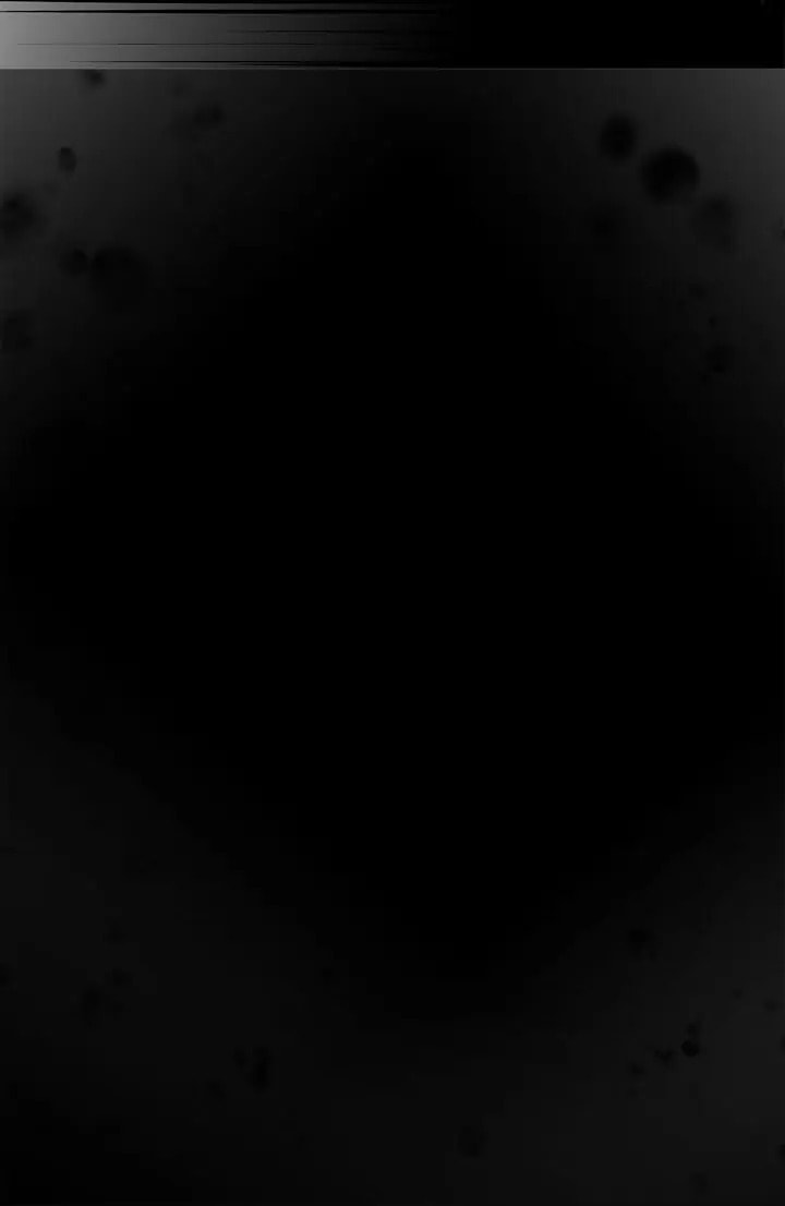 I'm the Soldier's Ex-Girlfriend Chapter 81 page 10 - 