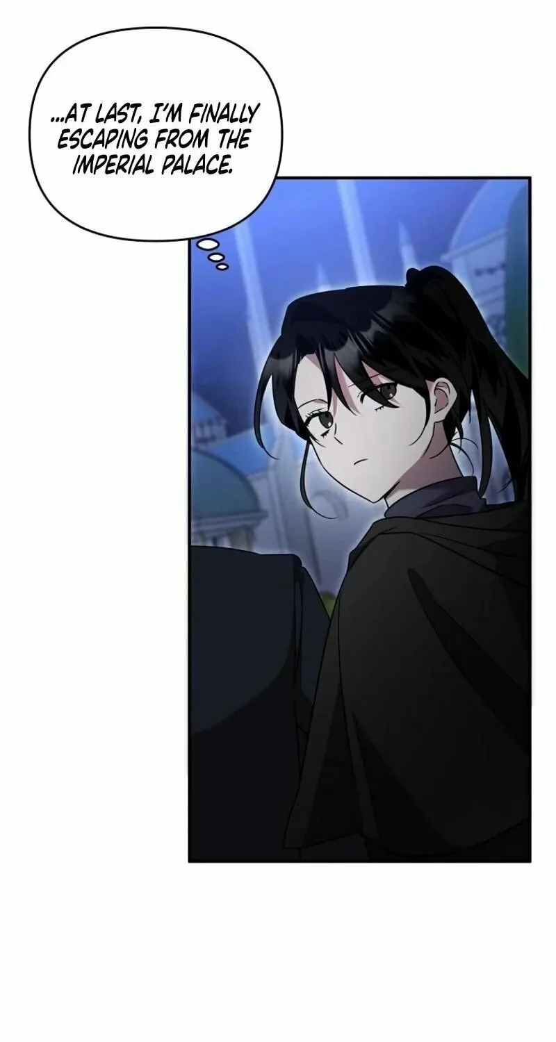 I'm the Solo Guide Chapter 38 page 63 - 