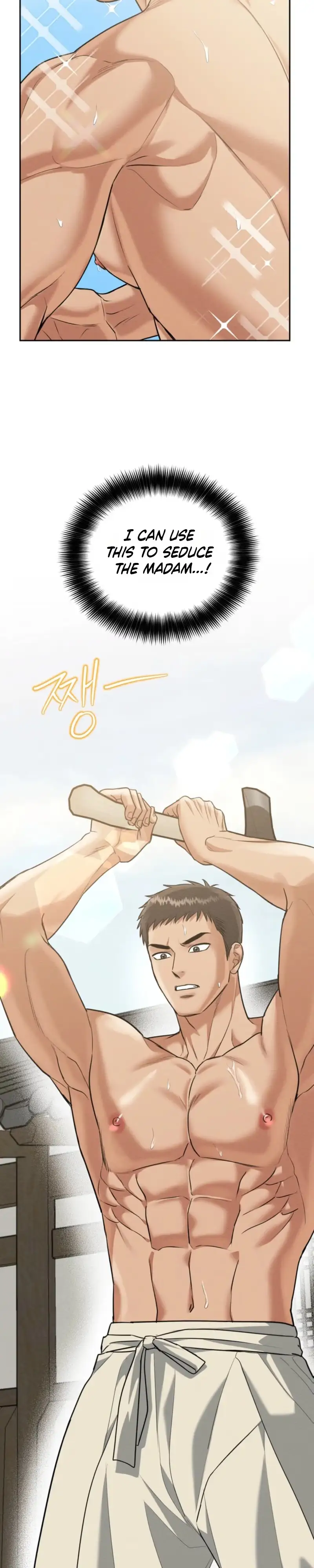 I Meant to Seduce the Madam Chapter 1 page 27 - 