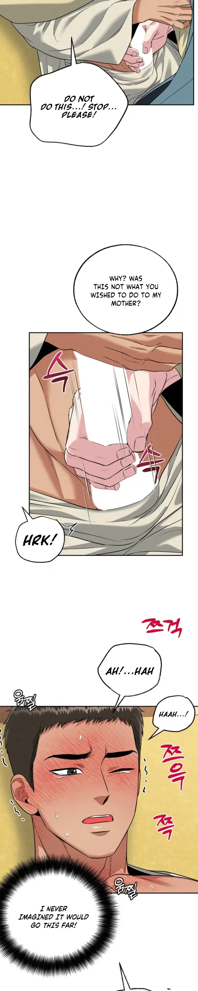 I Meant to Seduce the Madam Chapter 2 page 25 - 