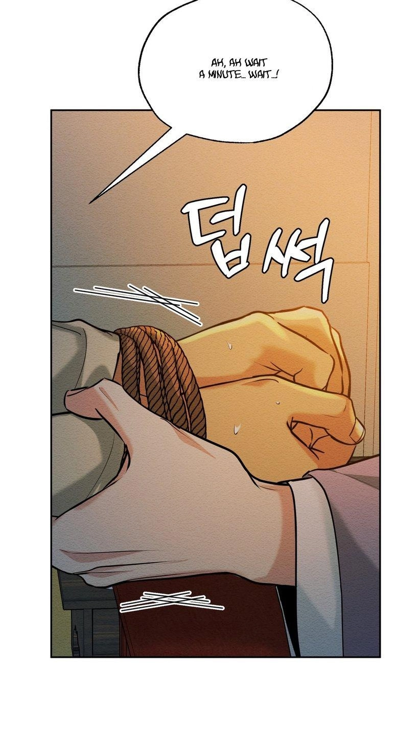I Meant to Seduce the Madam Chapter 5 page 12 - 