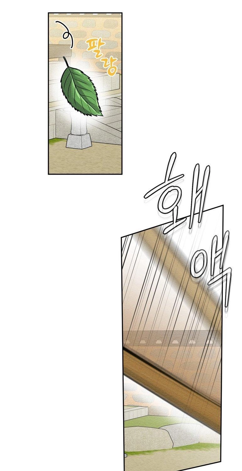 I Meant to Seduce the Madam Chapter 5 page 39 - 