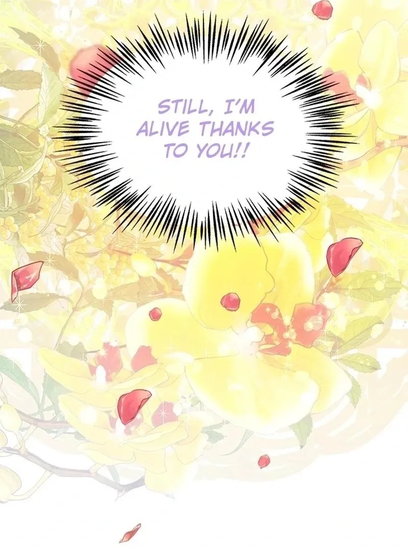 I Need Someone to Stop My Older Brothers Chapter 37 page 42 - 