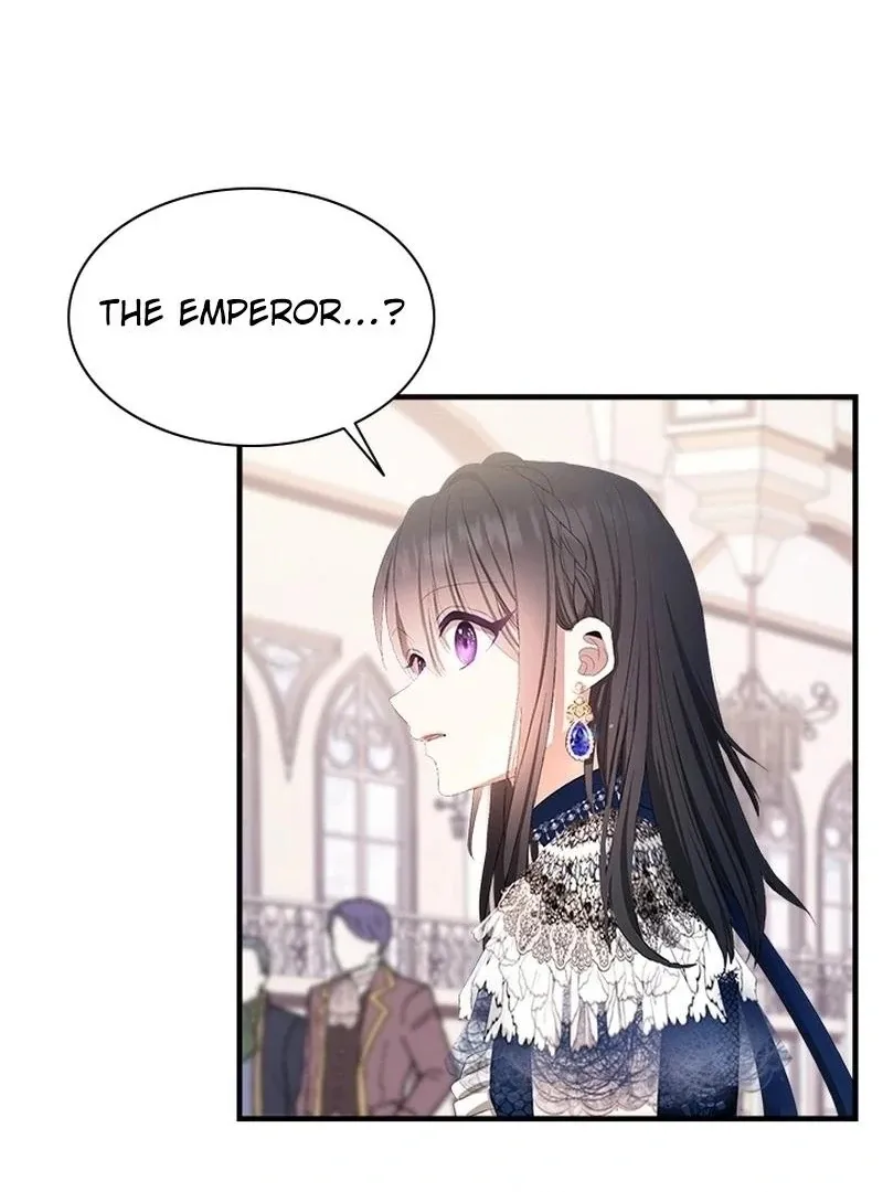 I Need Someone to Stop My Older Brothers Chapter 40 page 83 - 