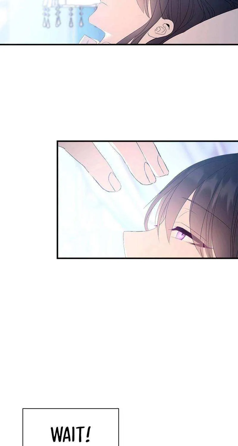 I Need Someone to Stop My Older Brothers Chapter 43 page 75 - 