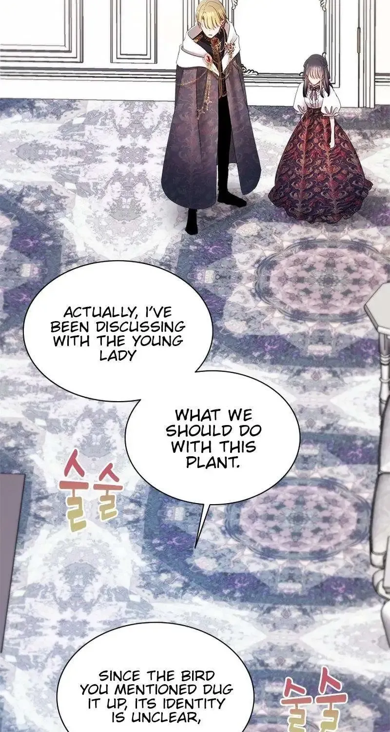 I Need Someone to Stop My Older Brothers Chapter 48 page 32 - 