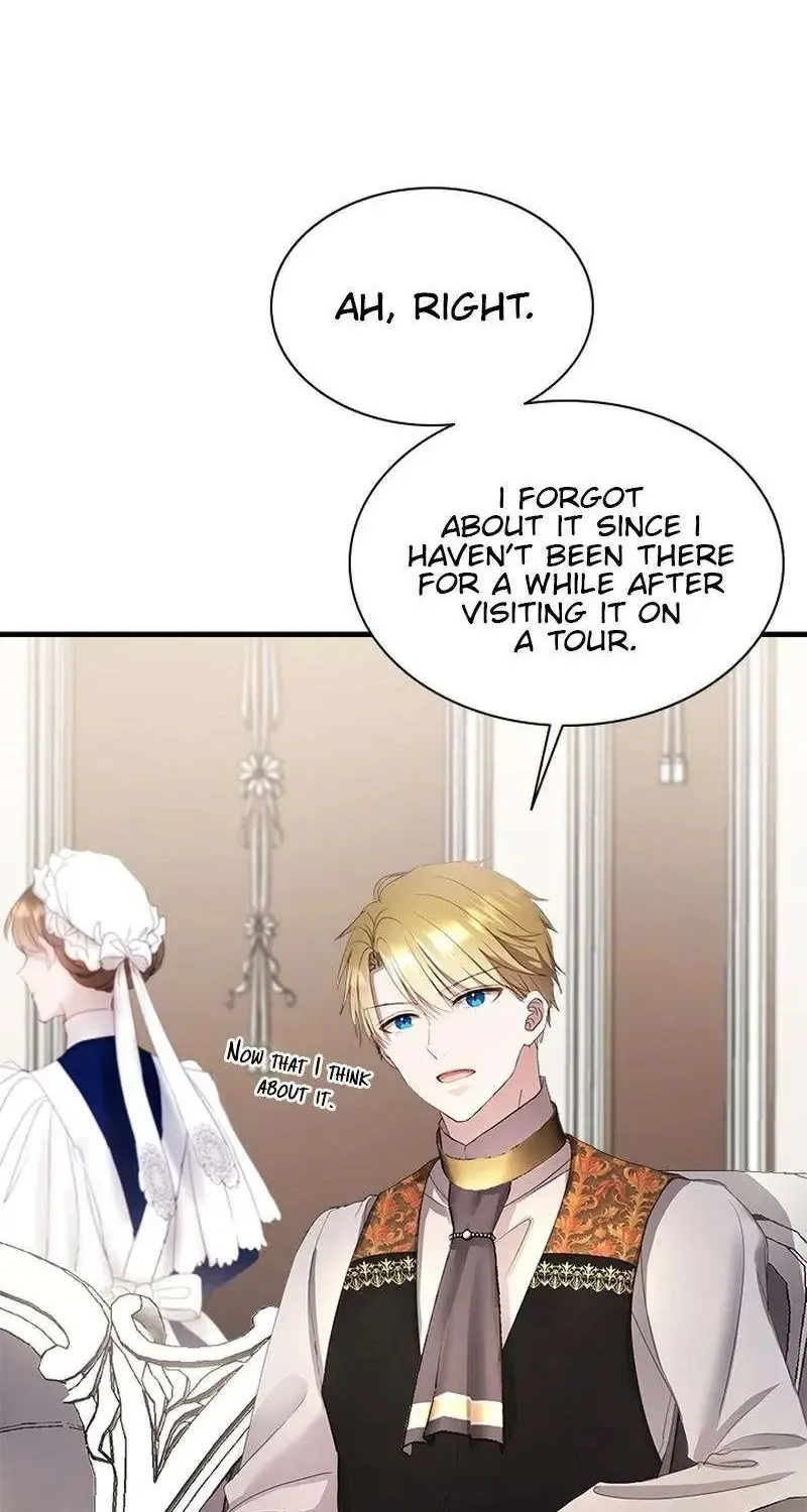 I Need Someone to Stop My Older Brothers Chapter 48 page 67 - 