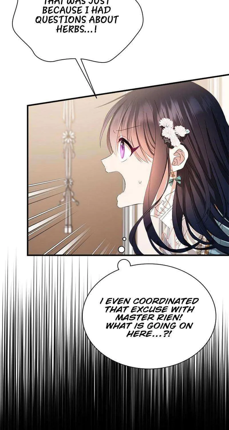 I Need Someone to Stop My Older Brothers Chapter 49 page 14 - 