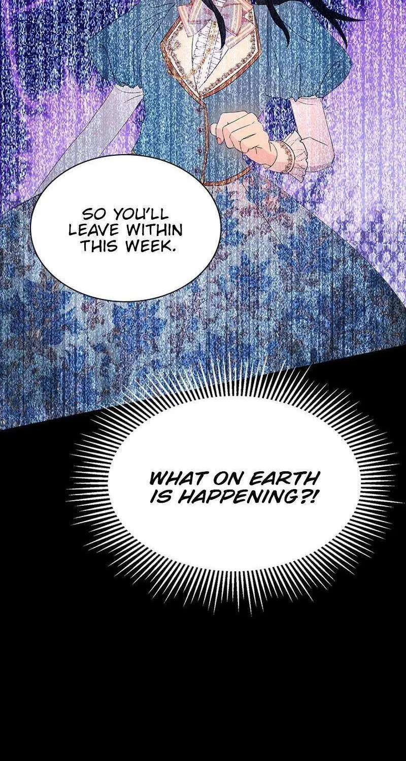 I Need Someone to Stop My Older Brothers Chapter 49 page 16 - 