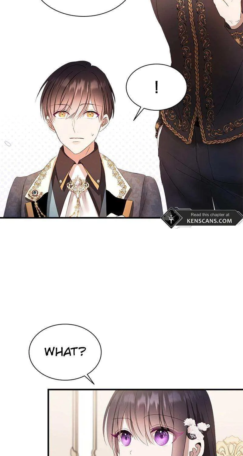 I Need Someone to Stop My Older Brothers Chapter 49 page 36 - 