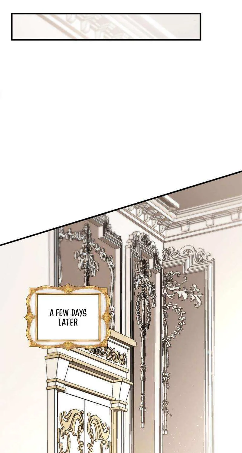 I Need Someone to Stop My Older Brothers Chapter 49 page 7 - 