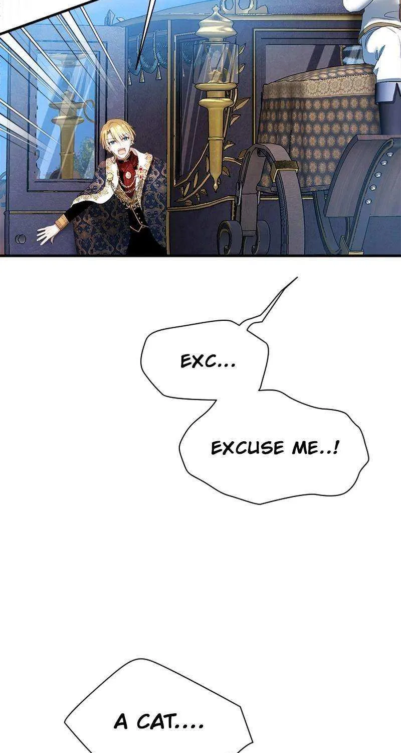 I Need Someone to Stop My Older Brothers Chapter 50 page 49 - 