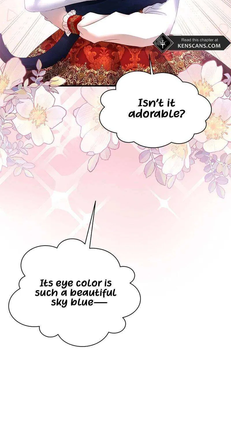 I Need Someone to Stop My Older Brothers Chapter 50 page 62 - 