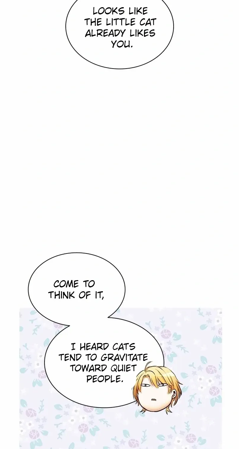 I Need Someone to Stop My Older Brothers Chapter 51 page 22 - 